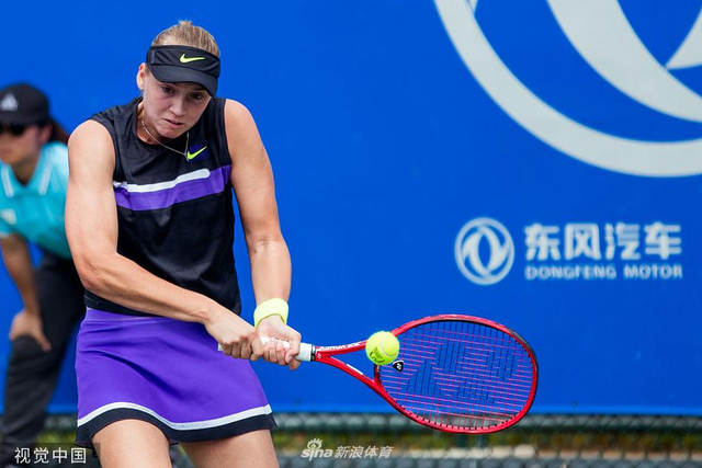 早期的滑翔 早期的滑翔